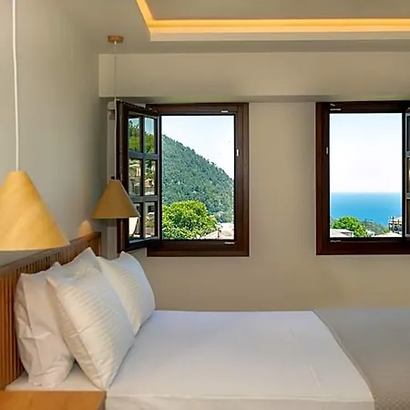 Thassos Hotel 2*