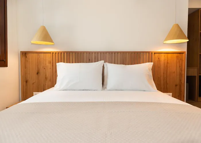 Thassos 酒店 帕纳基雅