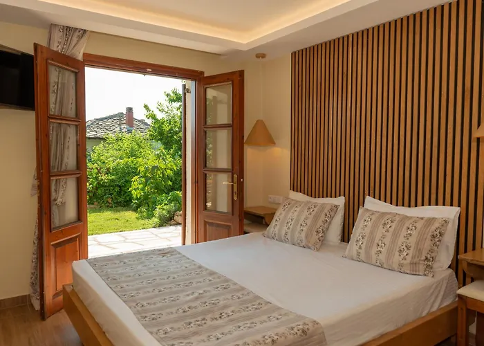 酒店 Thassos 帕纳基雅